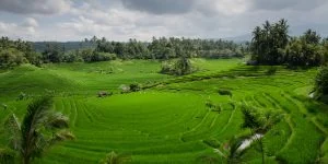 Family Villa in Bali