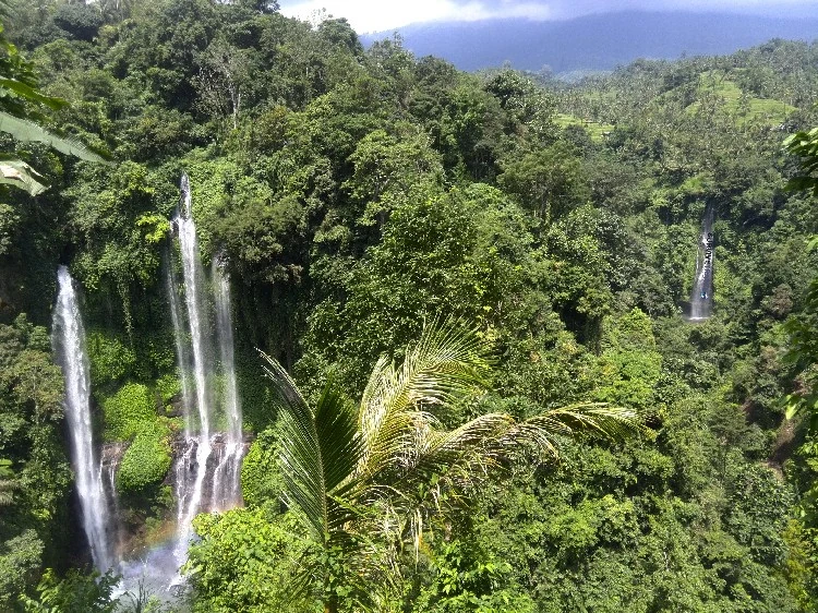 The best waterfalls in Bali