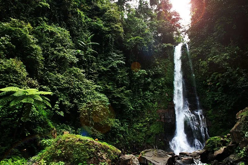 The best waterfalls in Bali